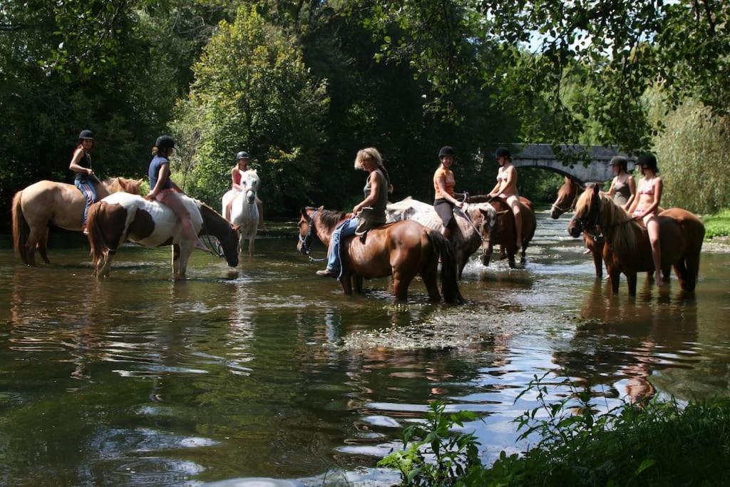 Serenite A La Ferme Equestre Lempzours Zewnętrze zdjęcie